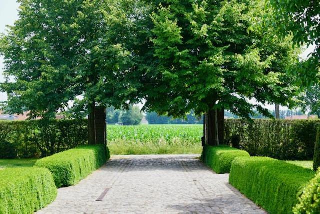 B&B De Hulst Izegem Exterior photo